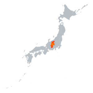 Nagano Map (Detail)